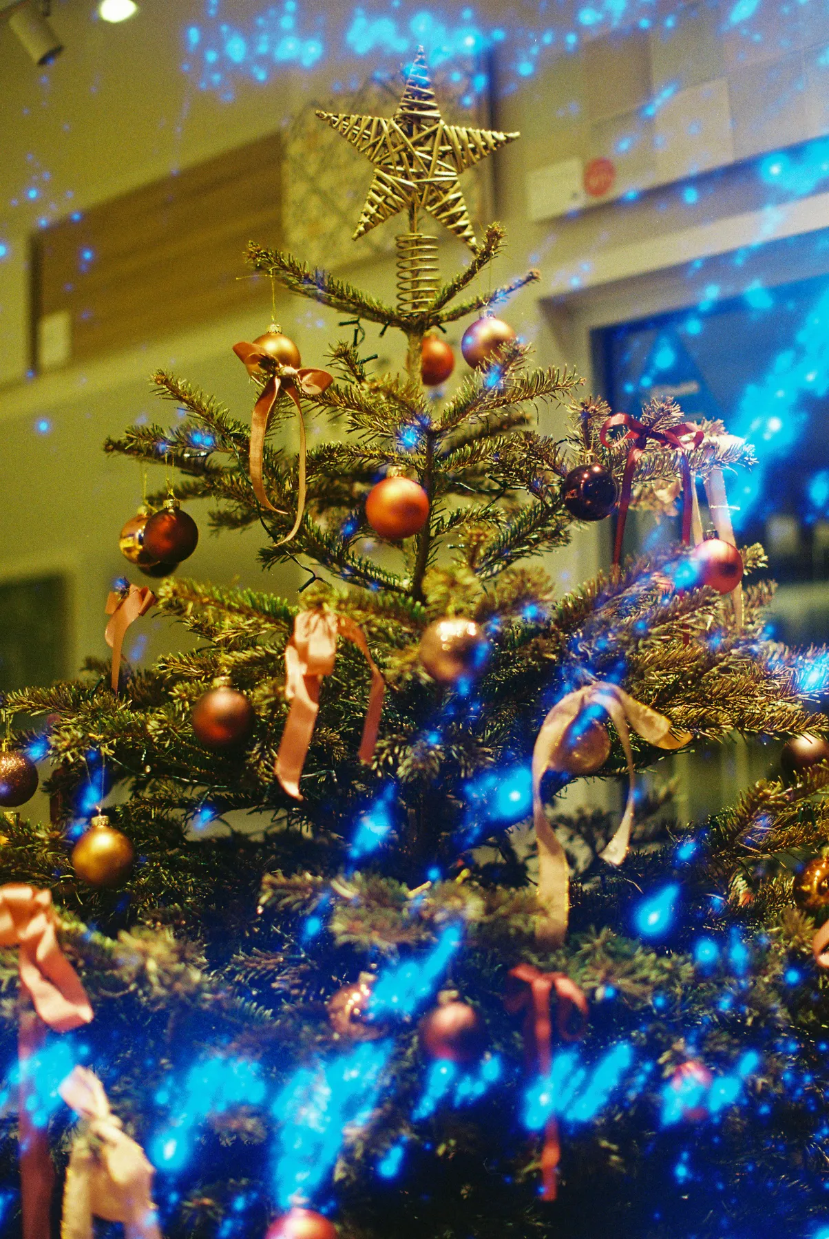Decorated christmas tree with blue lights - Free Photo on Unsplash