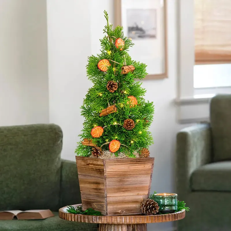 Decorated Tabletop Christmas Trees | Breck's Gifts