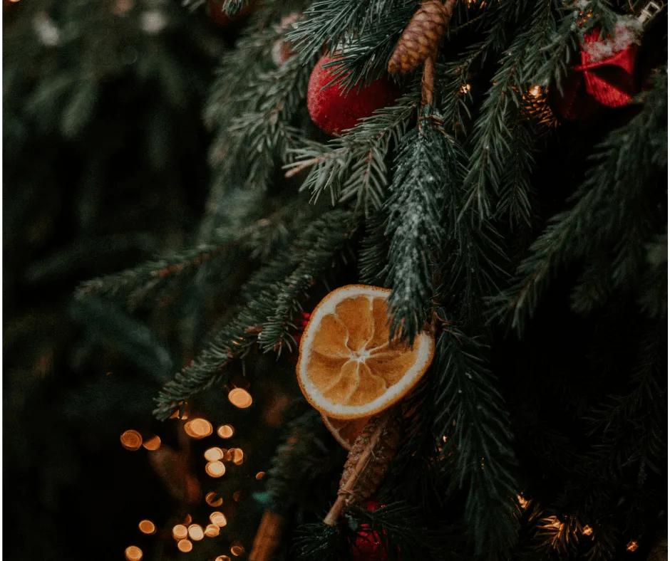 Decorating Your Christmas Tree | Over Farm – Farm Shop, Family Fun & Events  in Gloucester