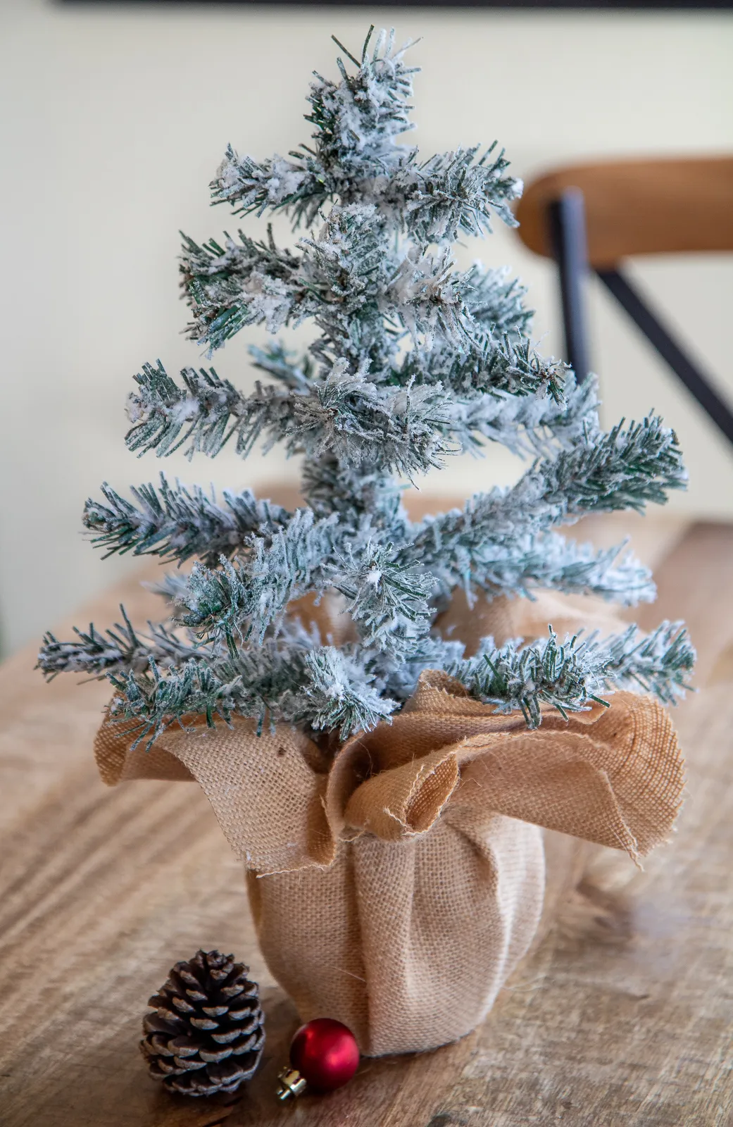 DIY BUDGET MINI CHRISTMAS TREES | Everyday Laura
