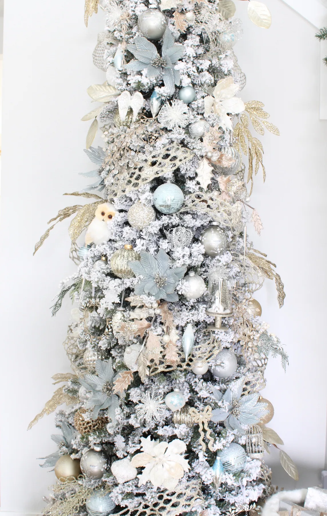 Elegant Christmas Entry In Champagne & Spa Blue - 3 - Summer Adams