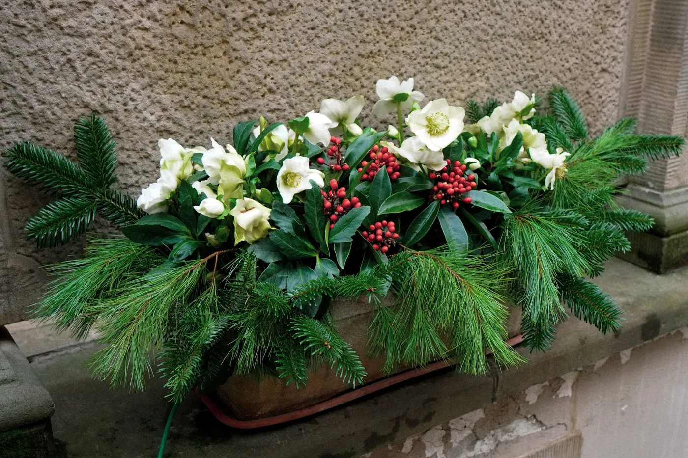 Elegant winter floral arrangement with white flowers, red berries, and green pine branches.