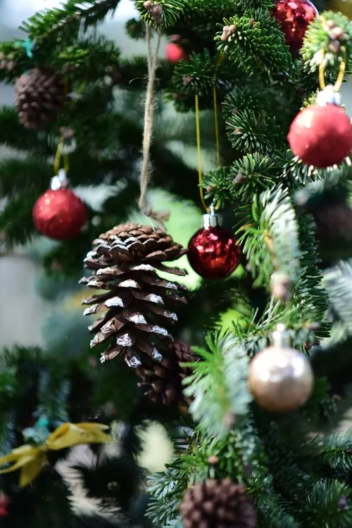 Festive Christmas Tree Decorations with Ornaments · Free Stock Photo