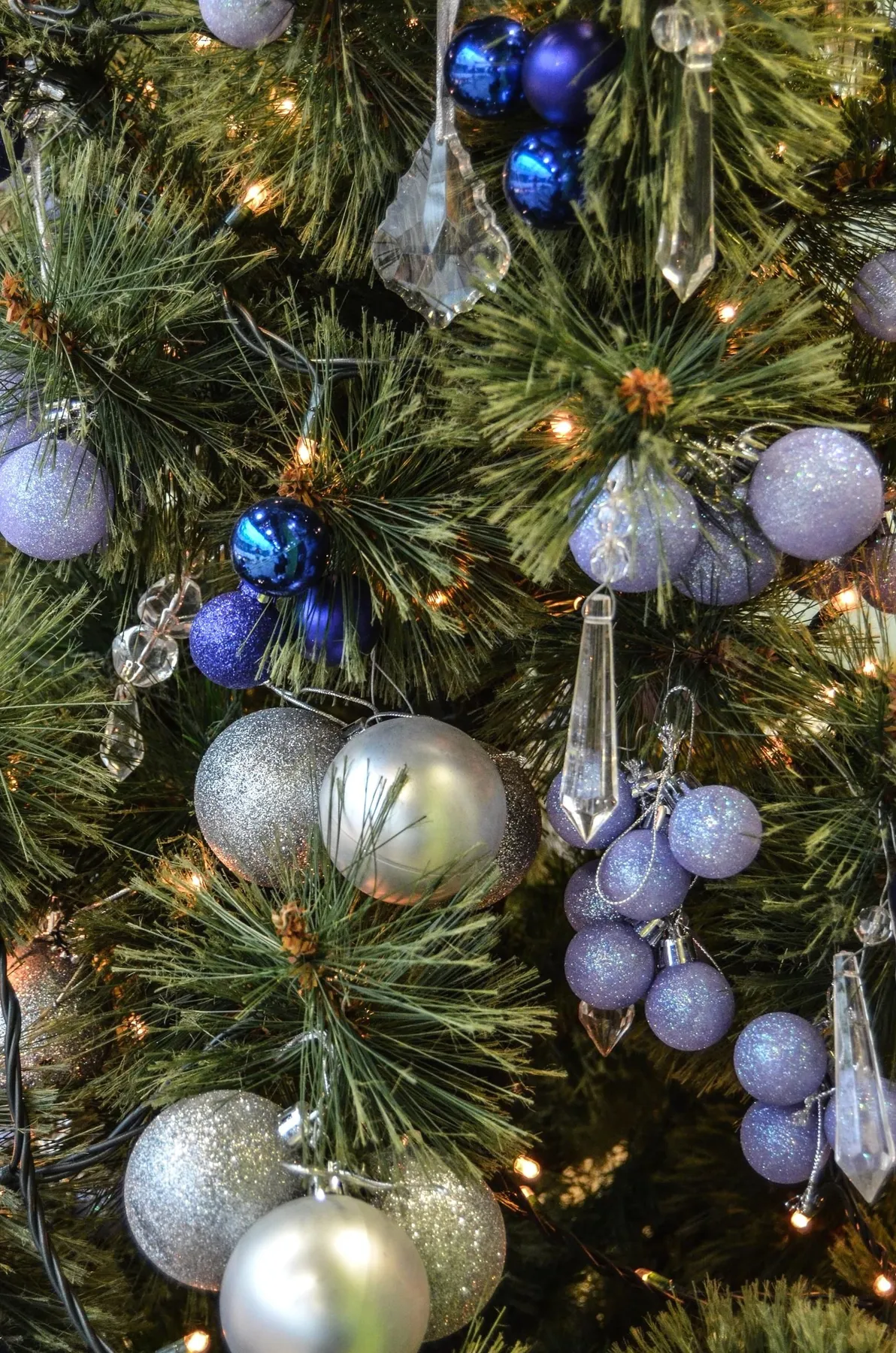 Free picture: decoration, fir, christmas, holiday, tree, celebration, winter