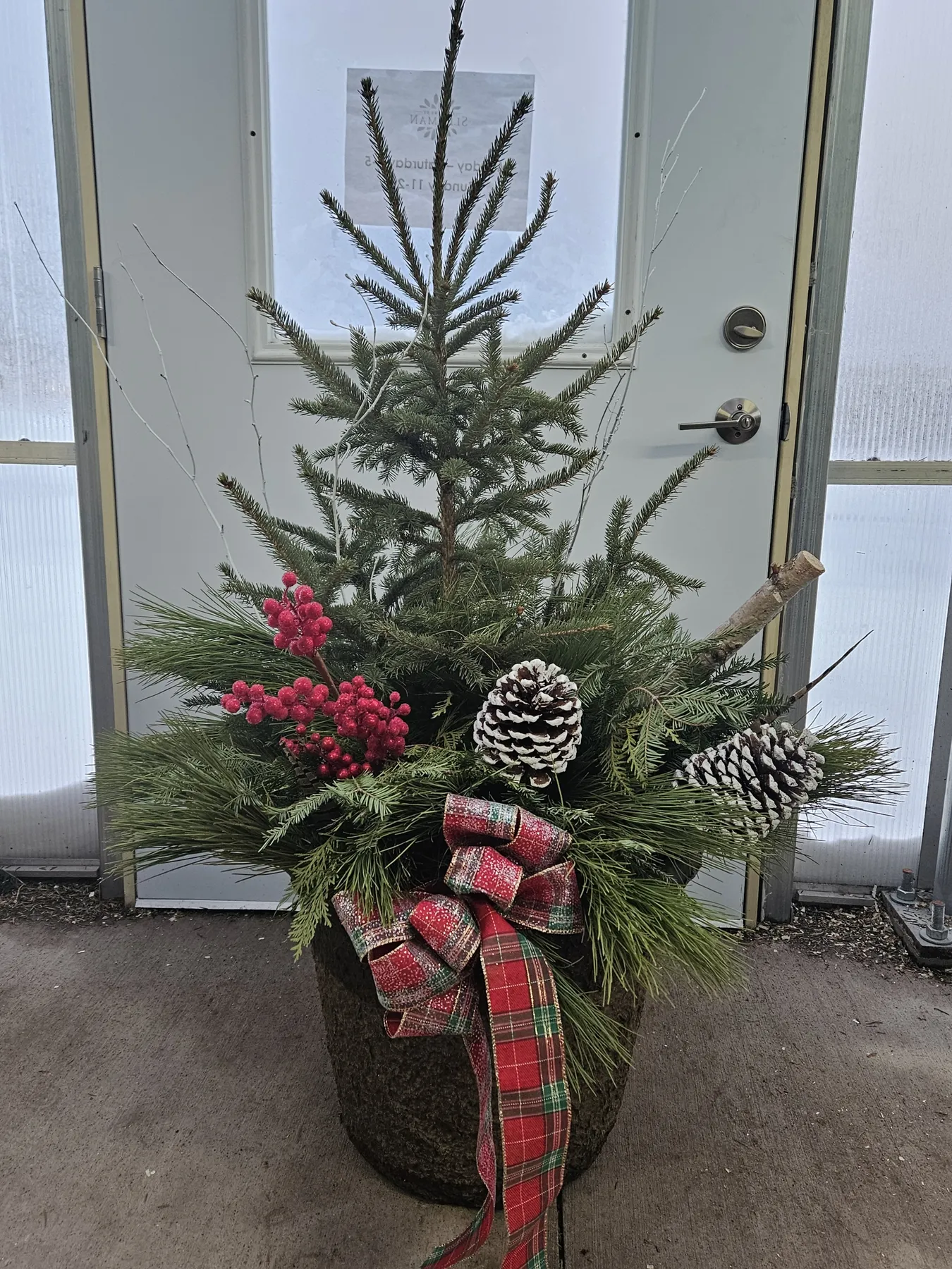 Fresh Evergreen Porch Planter – Flowers by Sleeman