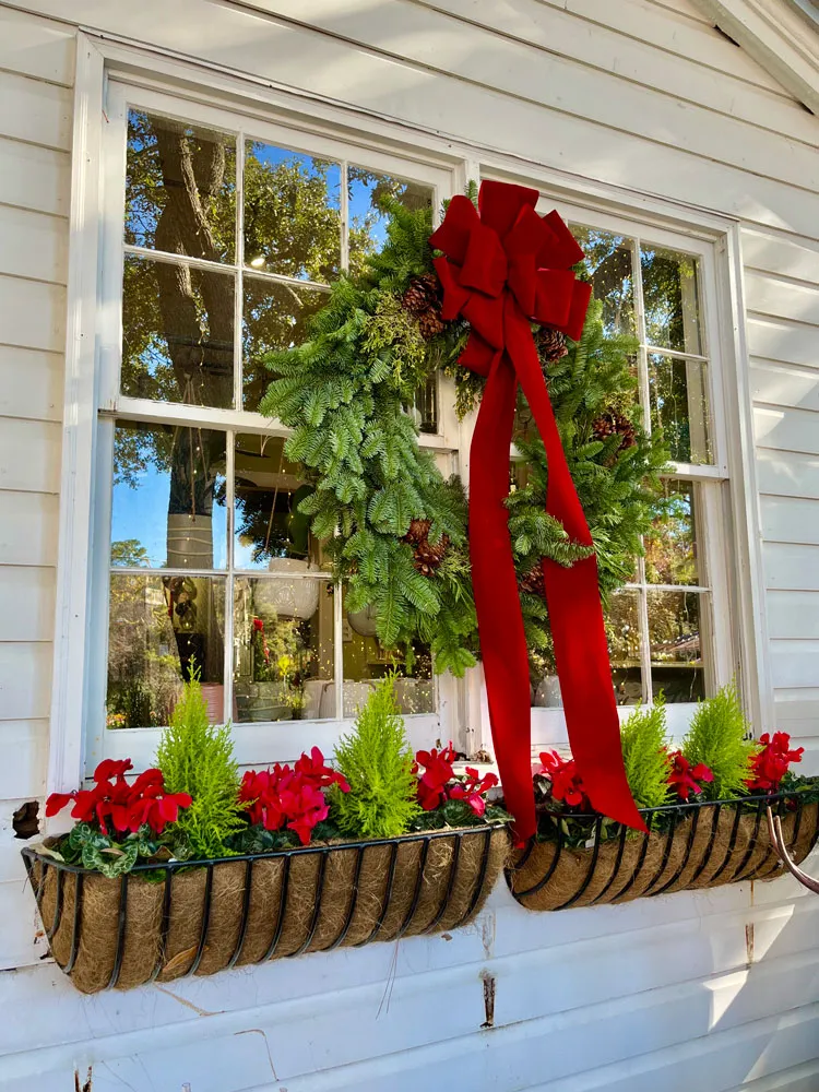 Fresh Holiday Greenery - Clay 30A ~ Garden, Pottery, Blessings ~ Seagrove Beach, FL