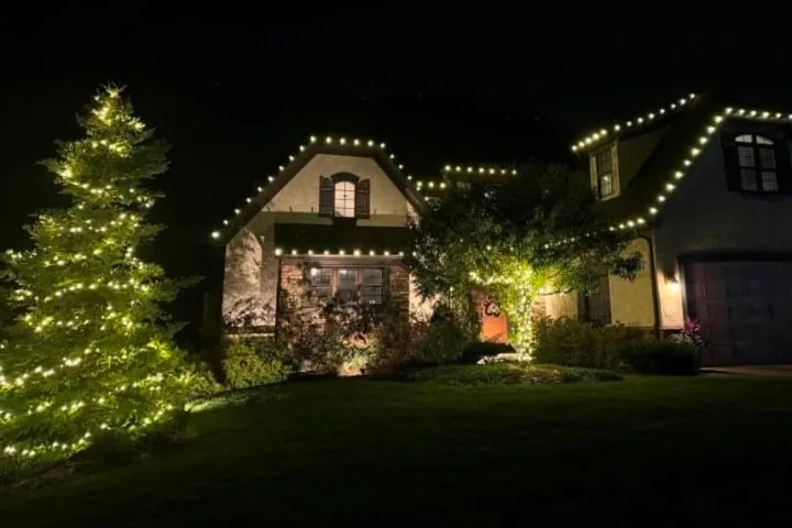 Gallery - My Christmas Light Guy