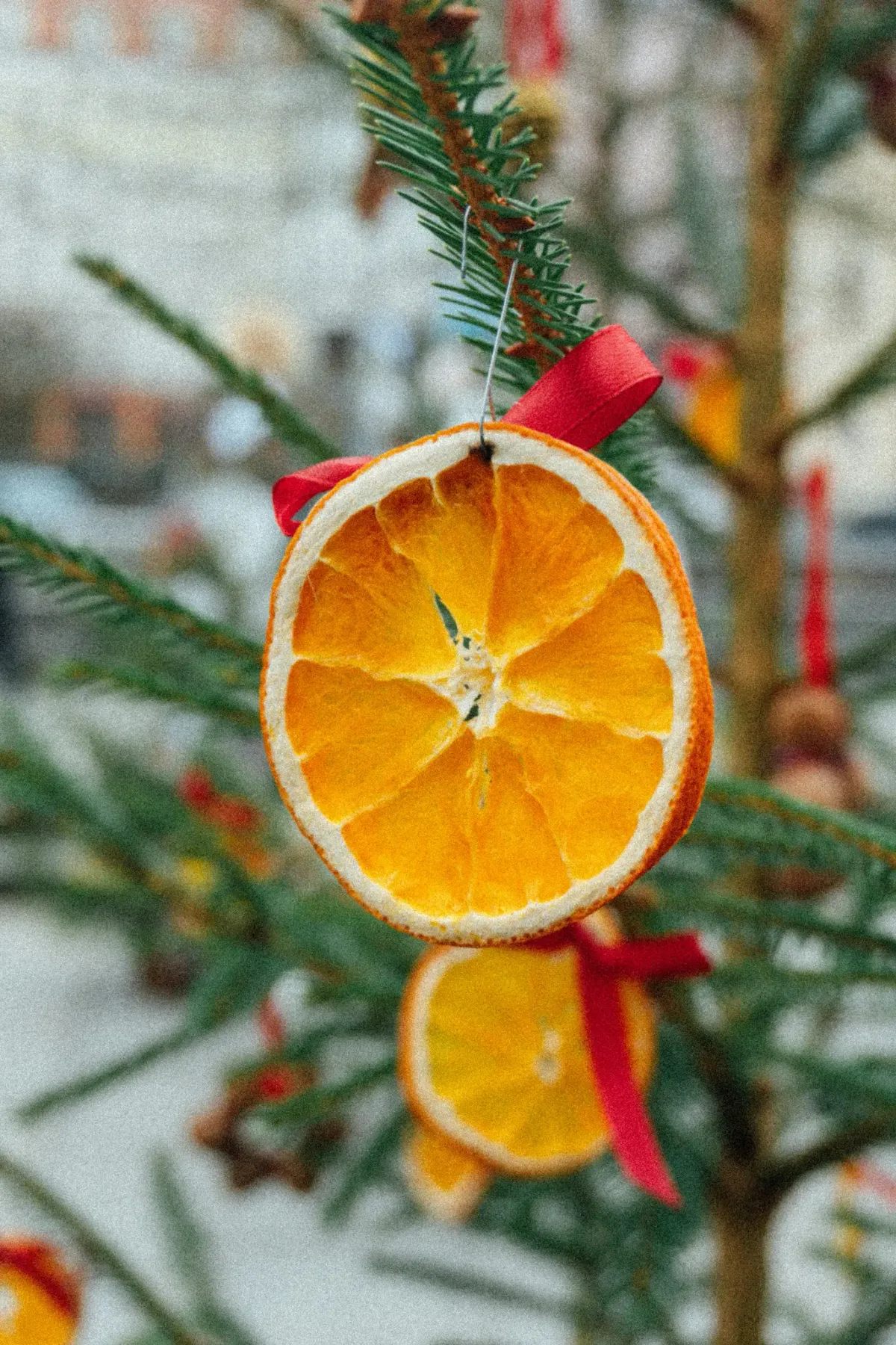 Gedroogde sinaasappelschijfjes versieren een kerstboom door Raymond Petrik  | Framky Artists