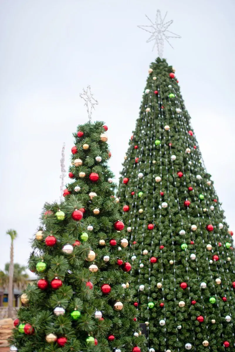Giant Commercial Christmas Trees for Holiday Celebrations - Jubilee Decor