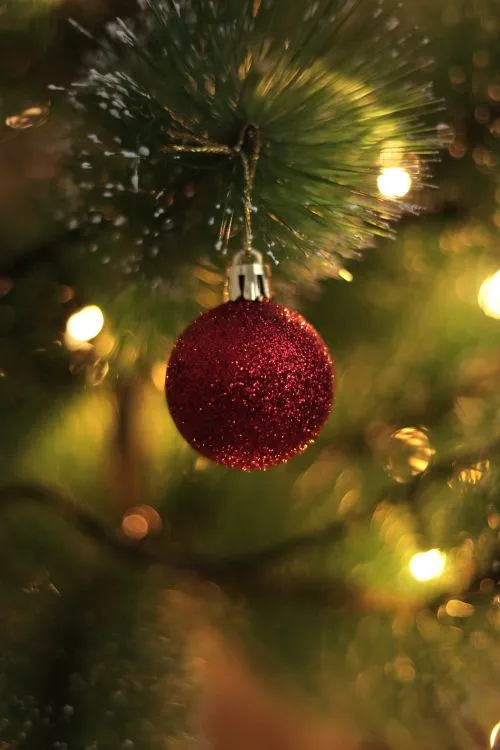 Glittery Red Christmas Ornament on Pine Branch · Free Stock Photo