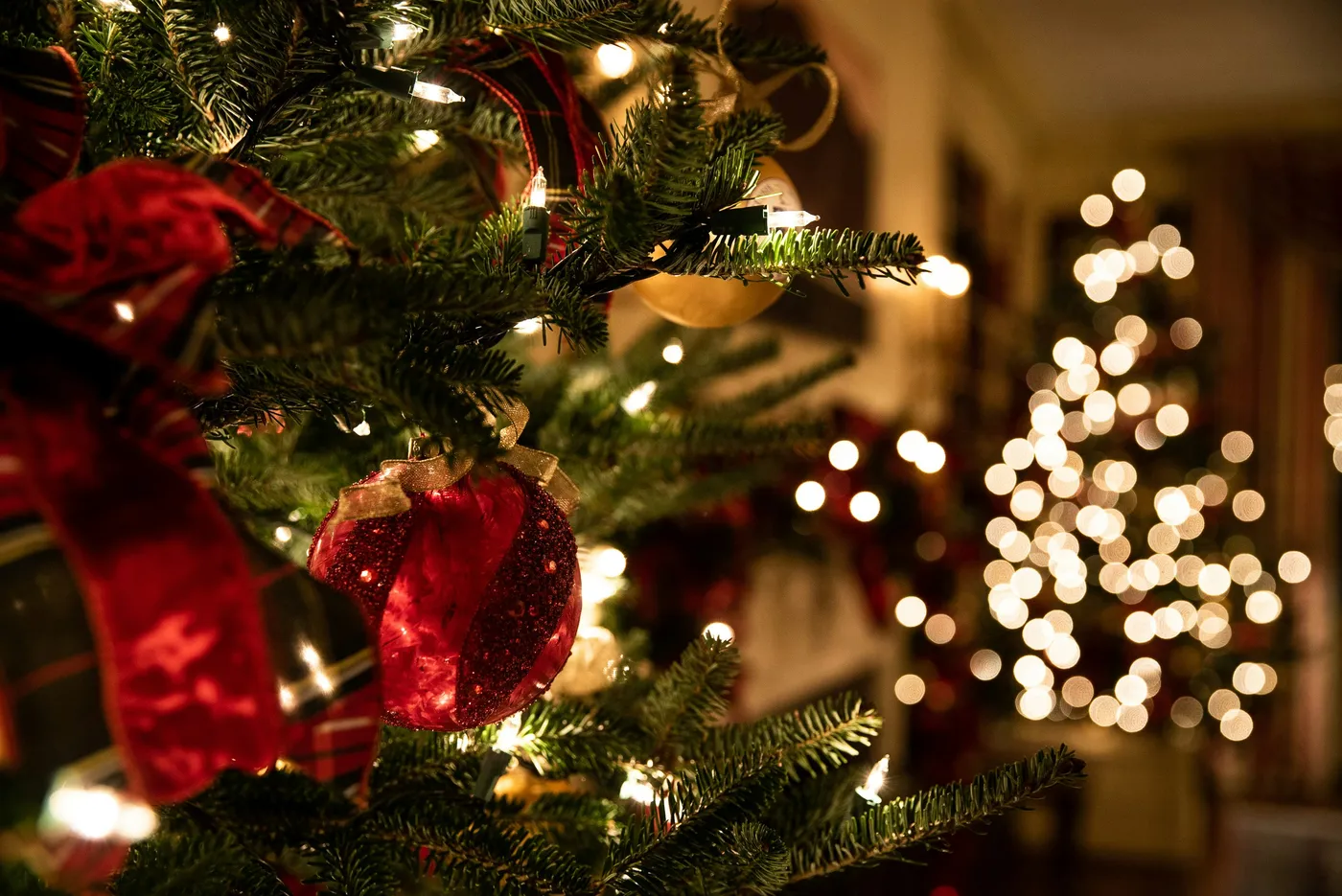 green Christmas tree