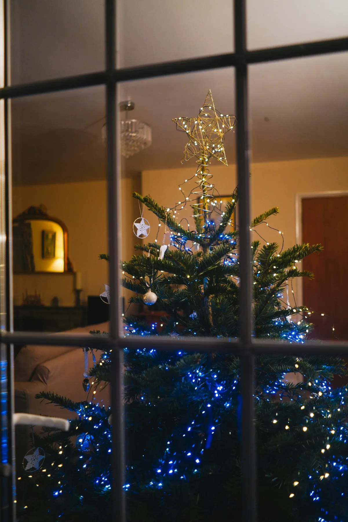 green christmas tree with string lights