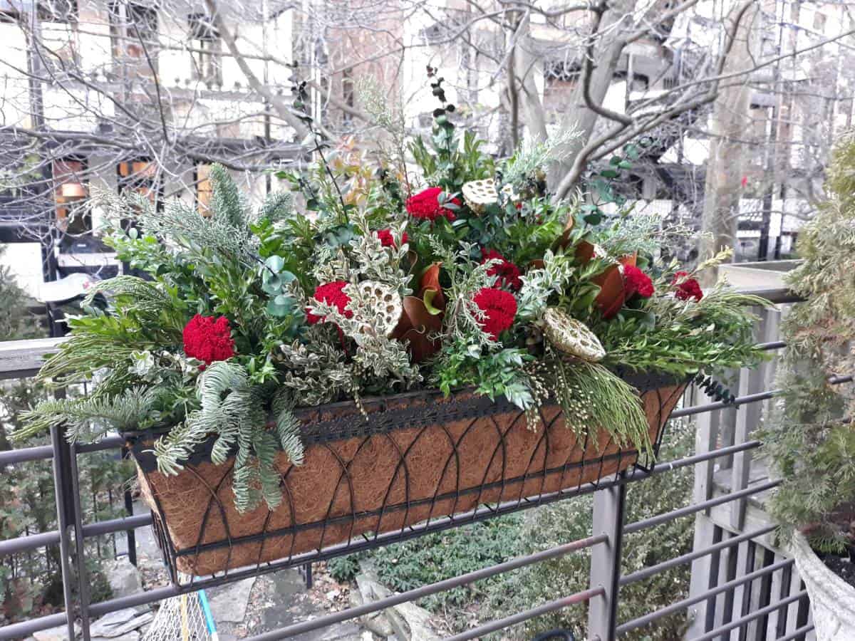 Holiday - Chicago Landscaping : On The Ledge