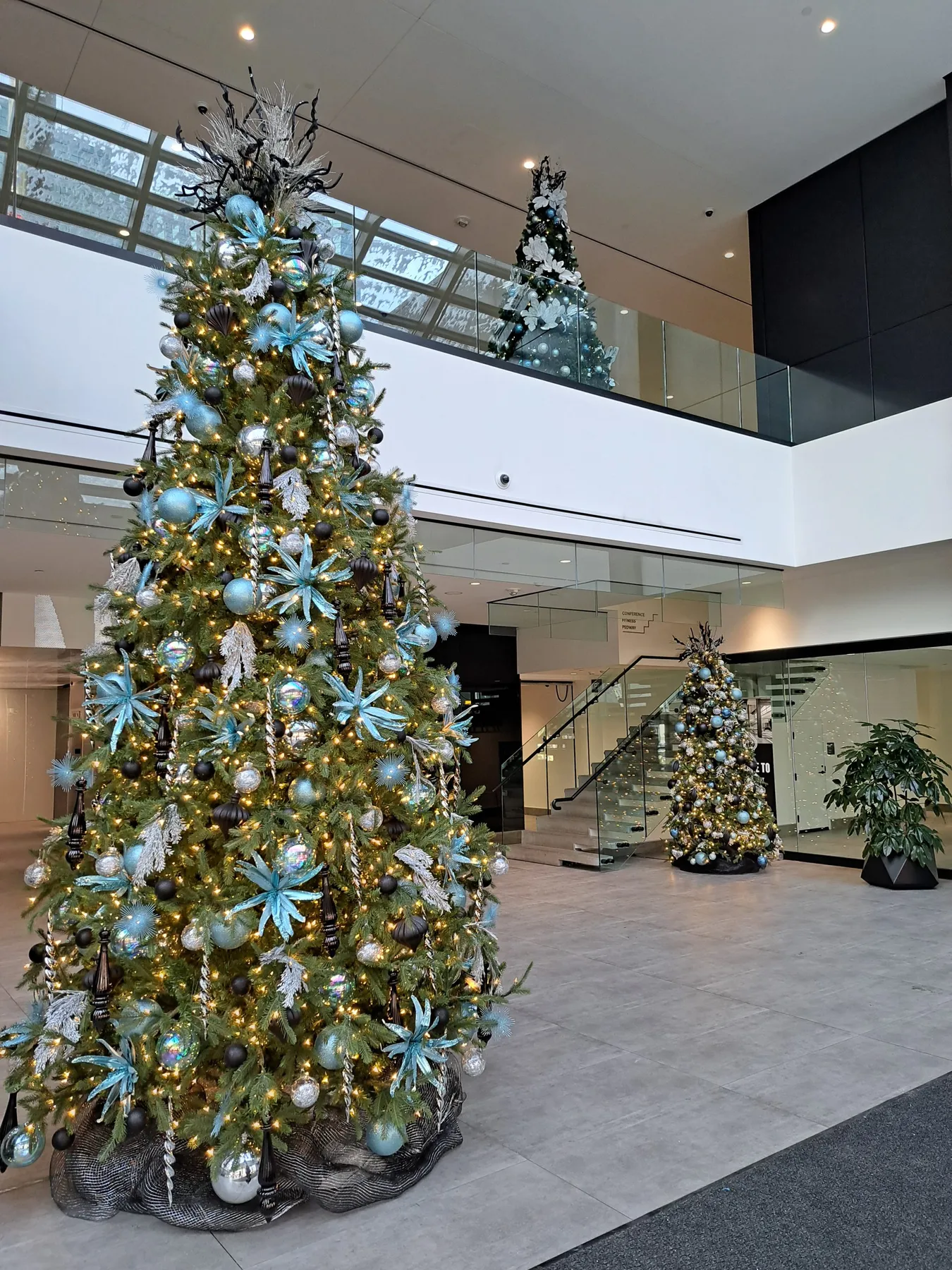 Holiday Decor - Greenjeans Interiorscape
