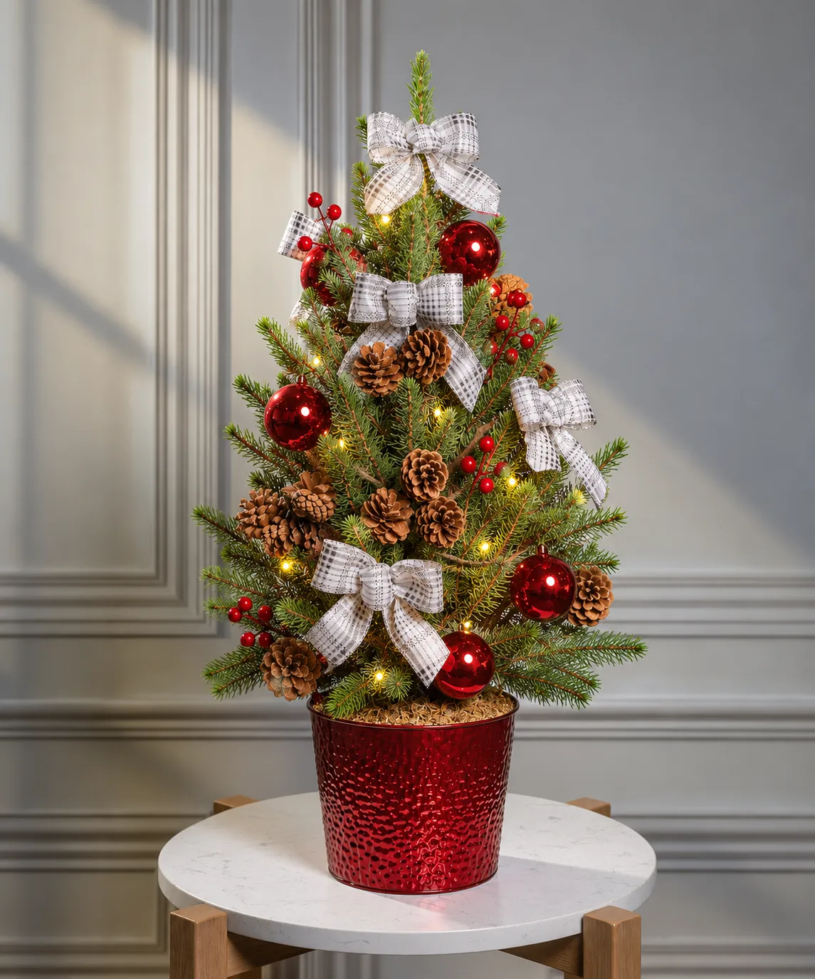 Home for the Holidays Living Christmas Tree - 1 Gallon | Lynch Creek Farm
