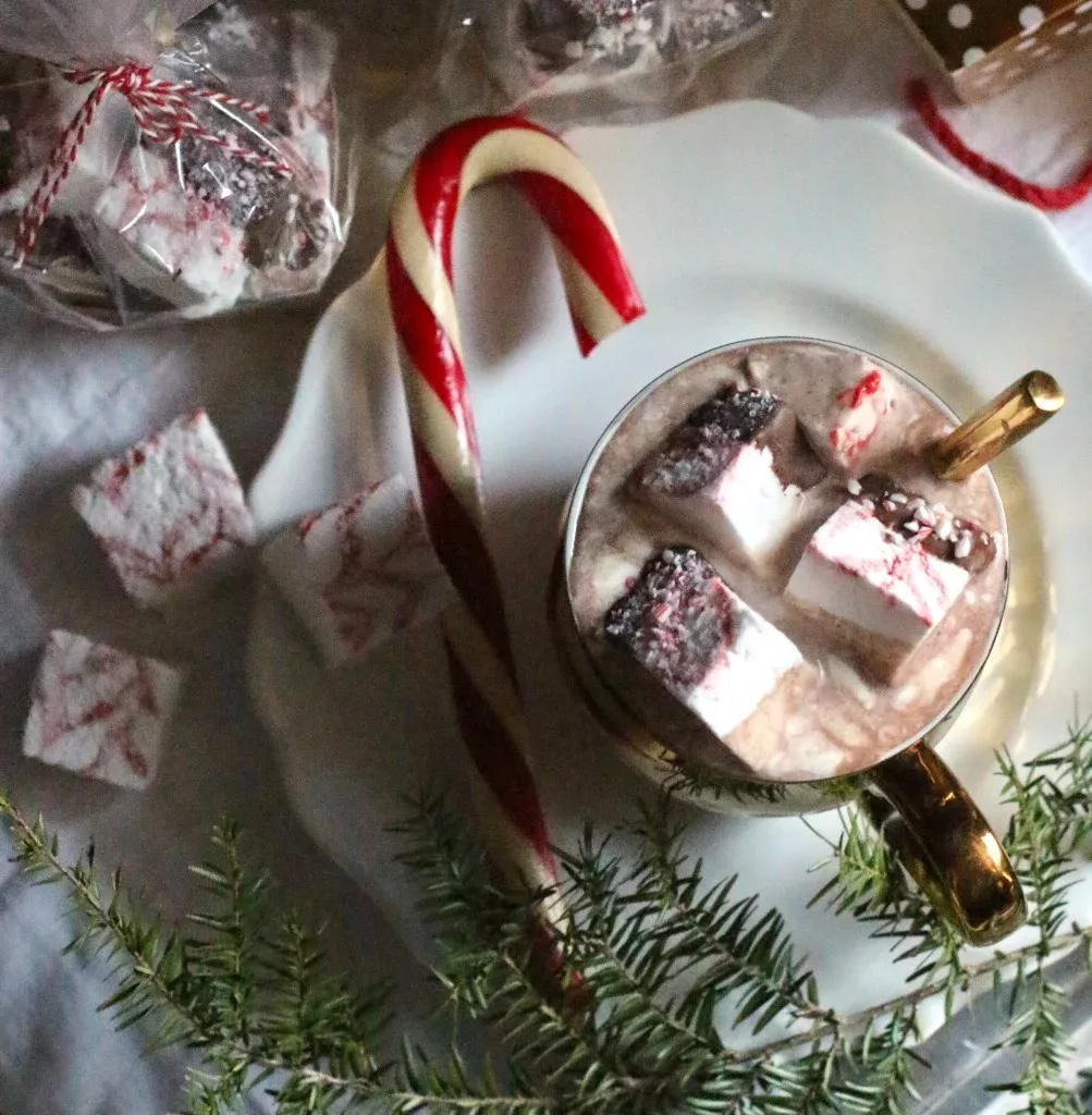 Homemade Marshmallows, Hot Cocoa Station & Christmas Florals — Love Shyla