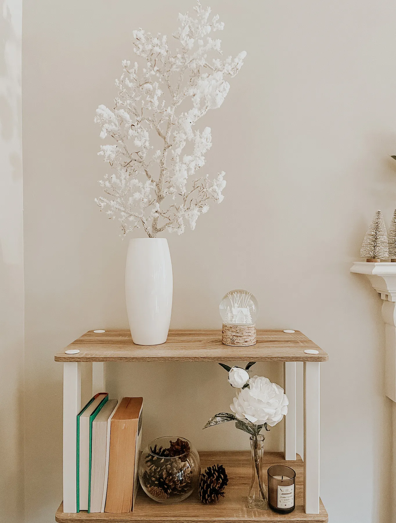 How to Make a Bookshelf Wintery for January