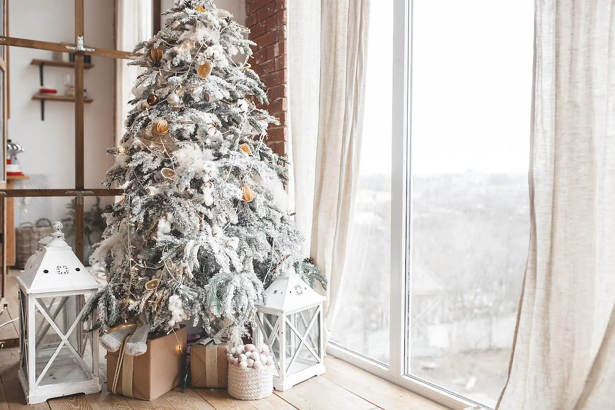 How to Pick the Best Christmas Tree for Your Apartment | Rent. Blog