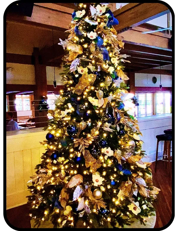 Interior Lighting Services in Lighthouse Point | Christmas Decor