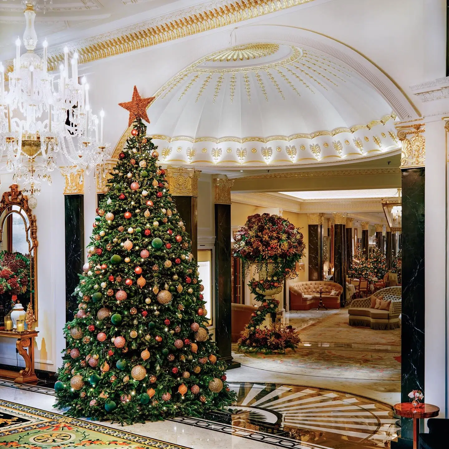 London's Best Christmas Trees 2023