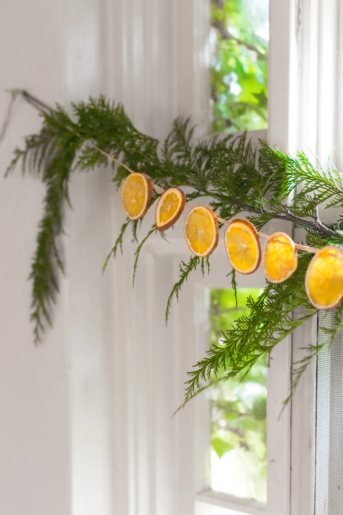 Orange Garland Diy DIY Dried Orange Garland — Chloe Rey