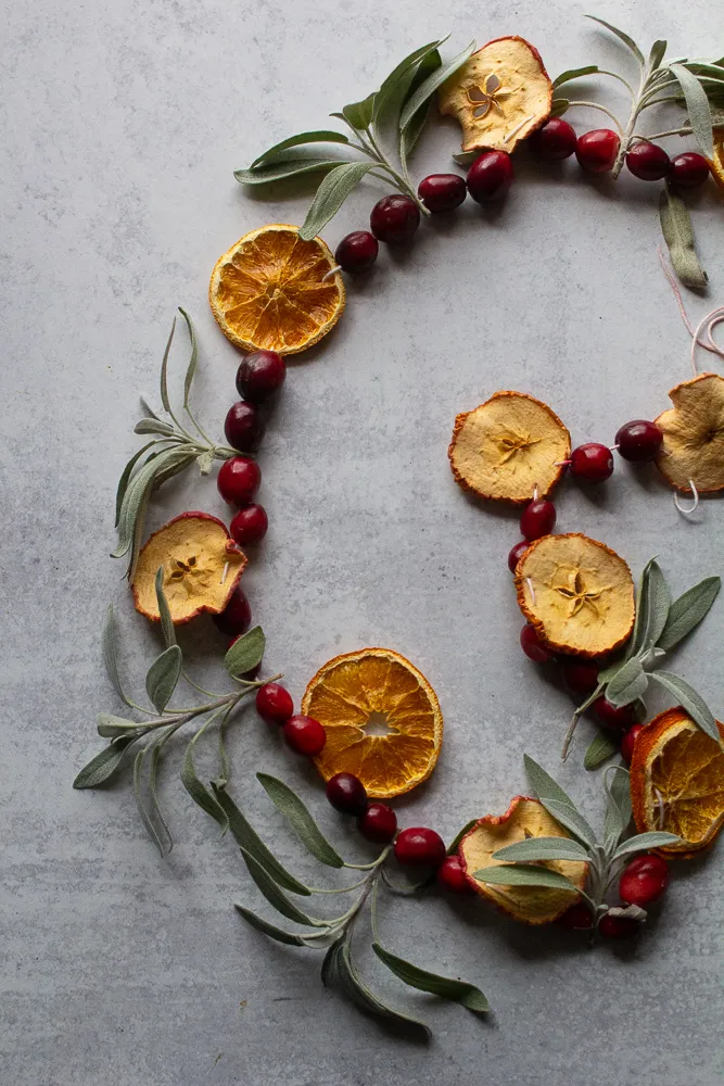 Orange Garland Diy DIY Dried Orange Garland — Chloe Rey