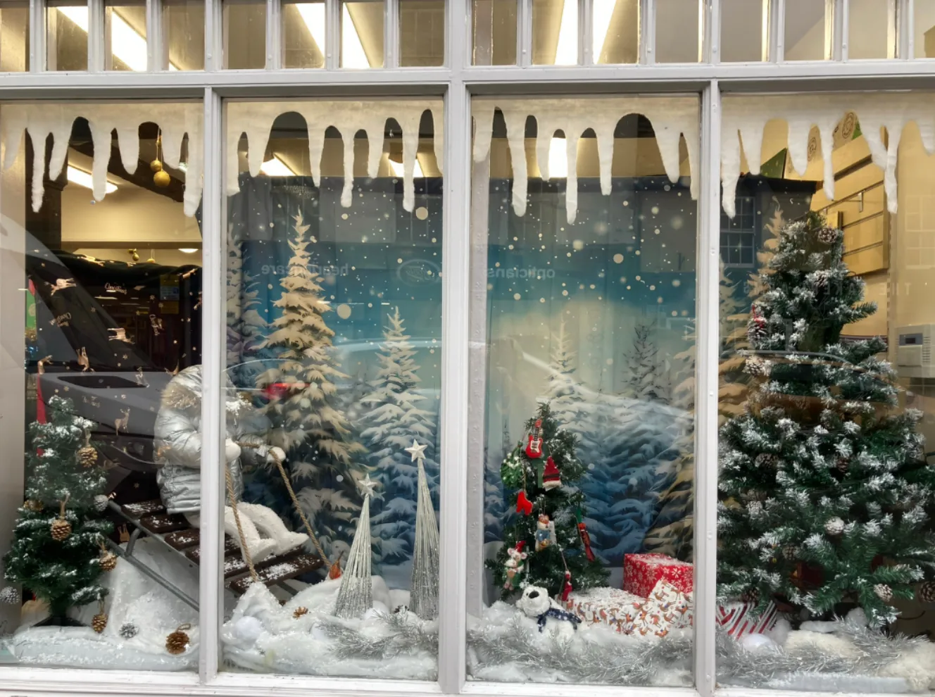 Oxfam shop wins Alton's Best Dressed Christmas Window competition | altonherald.com