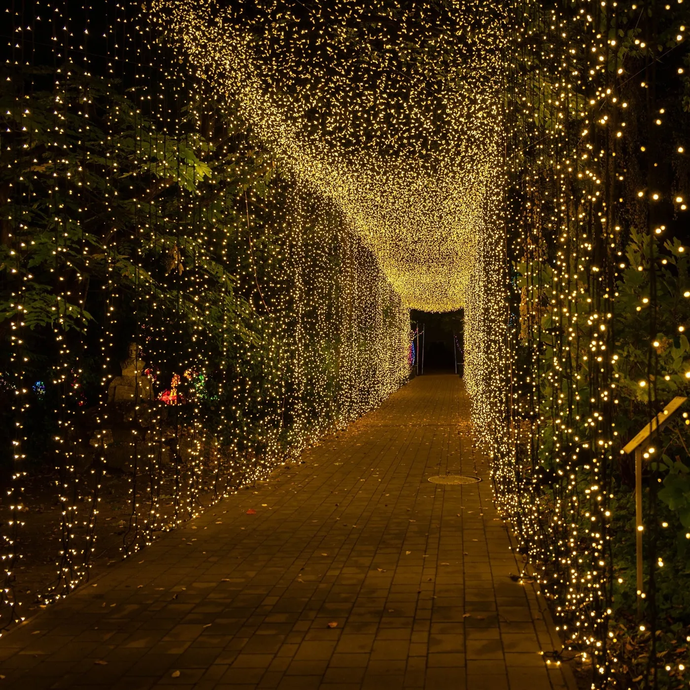 Professional Event Lighting & Uplights | eFavormart