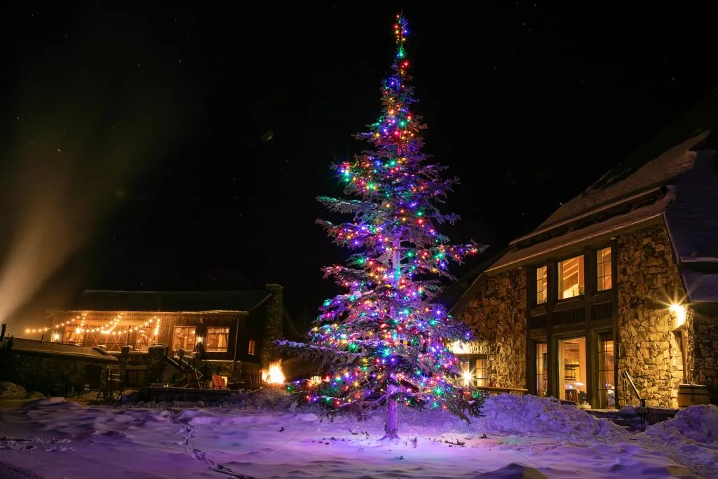 Reader photos: A Grand Christmas | SkyHiNews.com