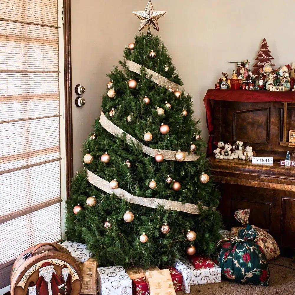 Real Christmas Tree Sydney – The Tree Elves