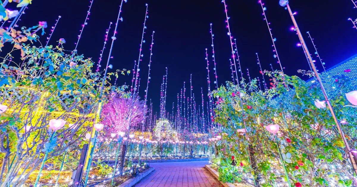 Recommended illumination rankings nationwide [2025-2026 latest] | Activity  Japan