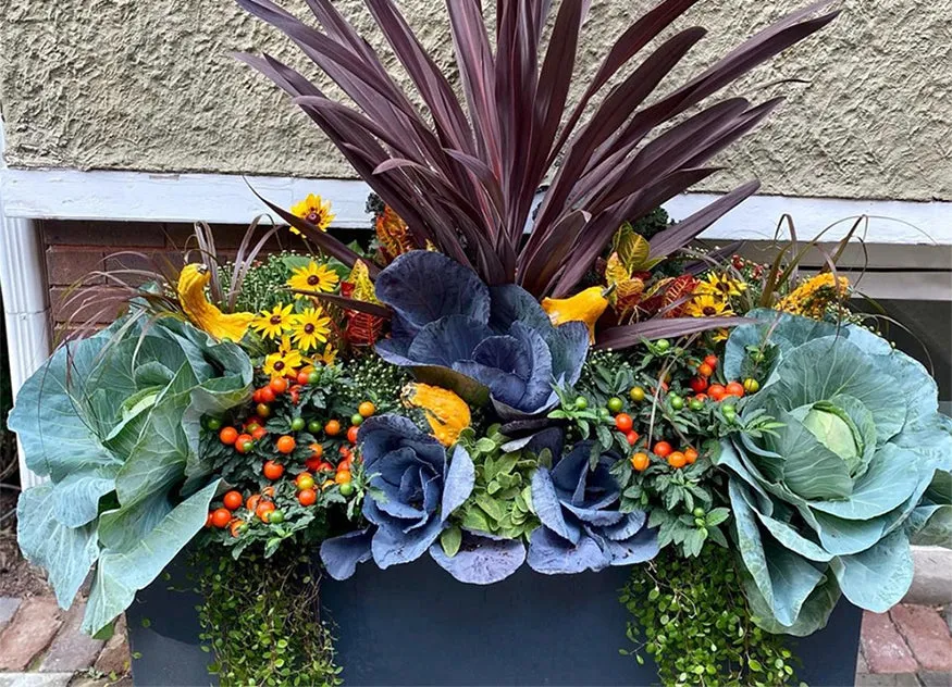 Refresh Your Planter Boxes for Fall – Eartheasy