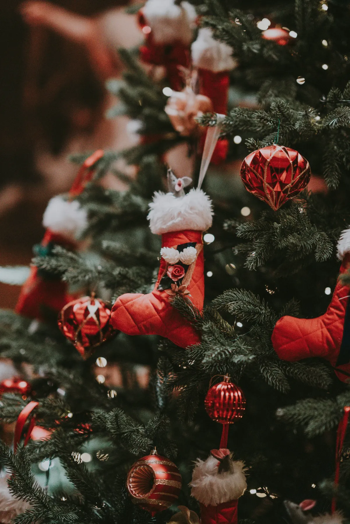 Reliable Christmas Courier — Eagle Express