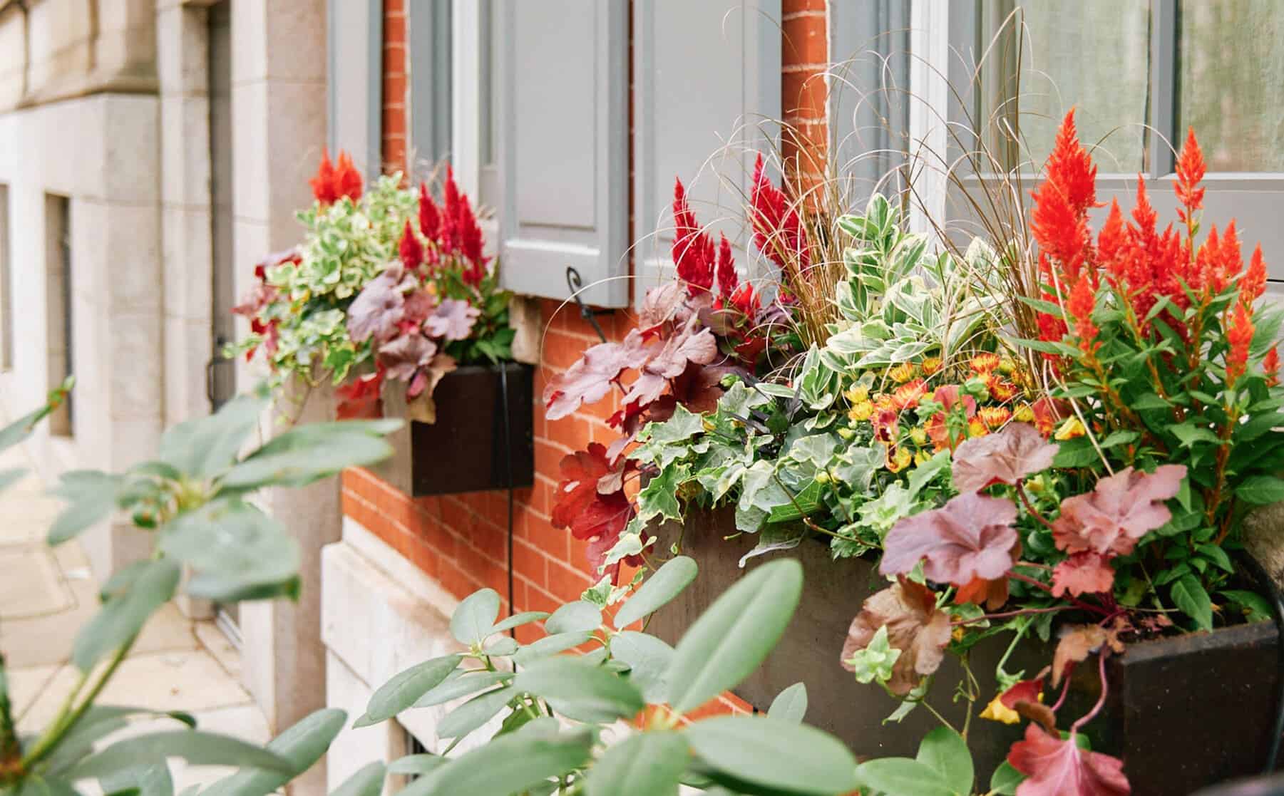 Residential Planter | Subscription Window Box | Enliven Planters