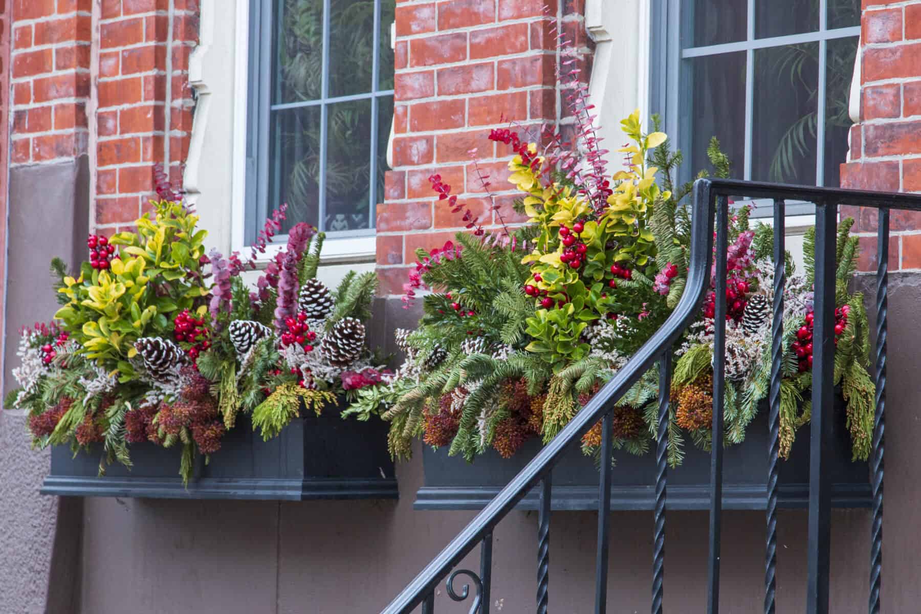 Residential Planter | Subscription Window Box | Enliven Planters