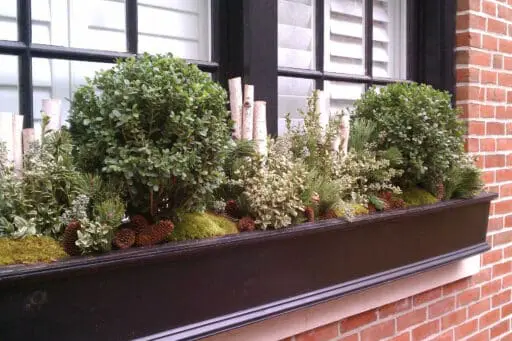 Seasonal Plantings for Boston Homes | a Blade of Grass