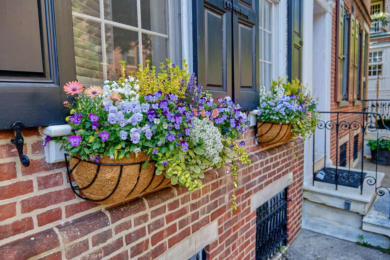Spring Window Boxes in Old City & Society Hill, Philadelphia - Enliven Planters