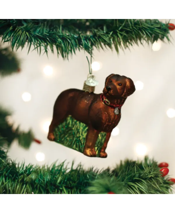 Standing Chocolate Lab, Glass Ornament 12508 - Noel Eternel