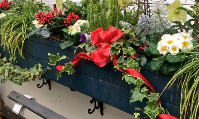 Statement Pots – In The Garden UK