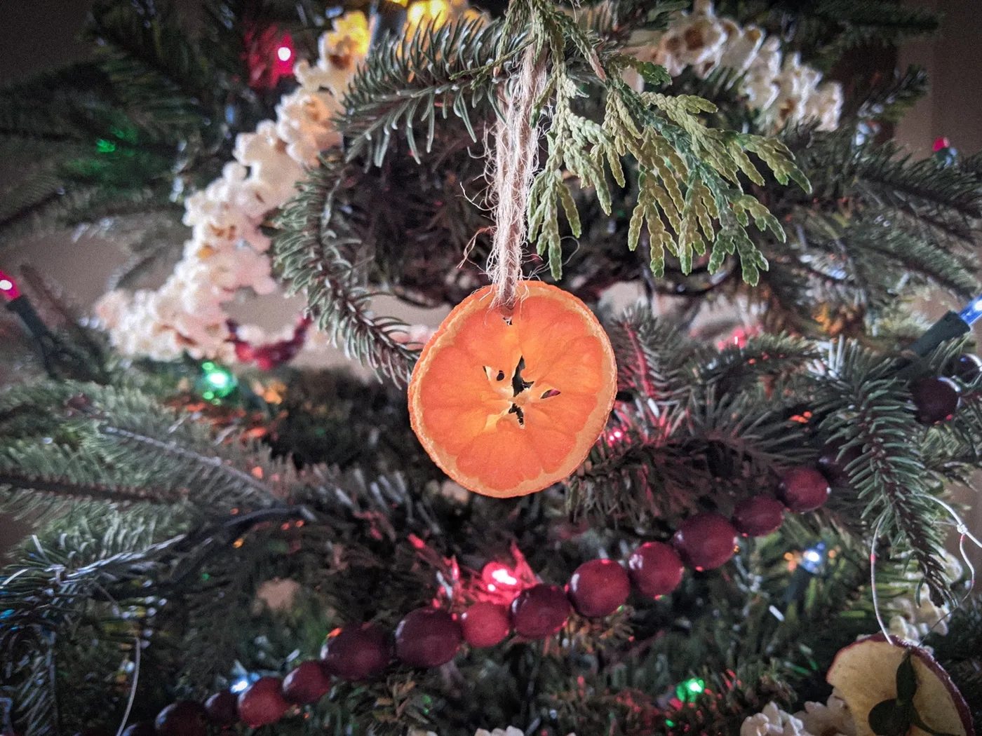 Stringing Up a Homemade Christmas Part 1: Orange and Apple Ornaments -  Hearth & Field