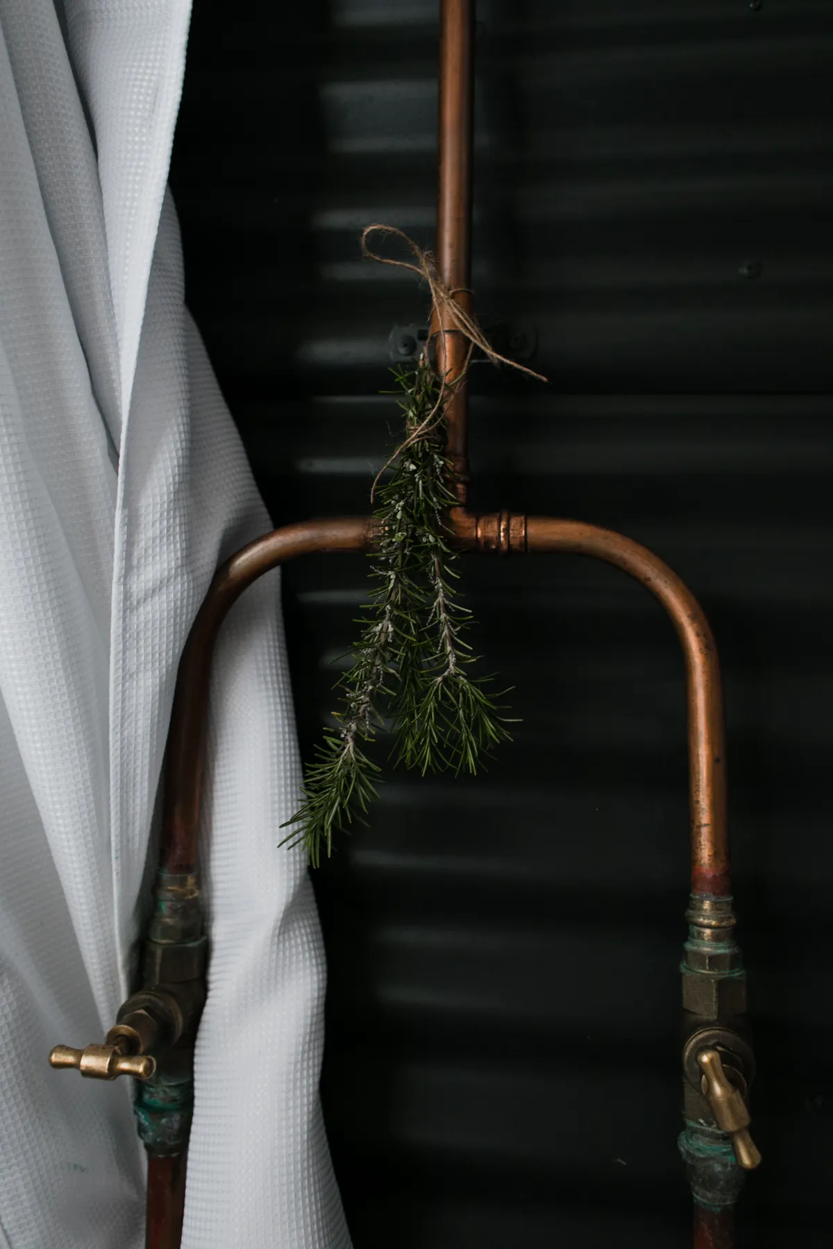 Stylish bathroom featuring rustic copper pipes and green foliage.