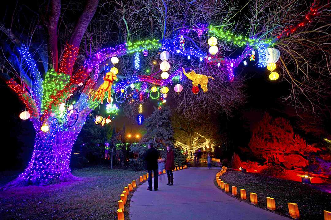 The Best Christmas Light Displays in the Midwest