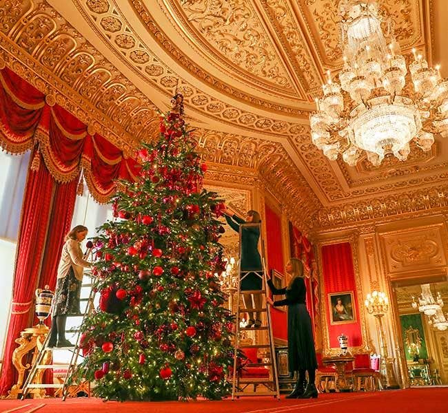 The Queen has put up her first Christmas trees - take a look