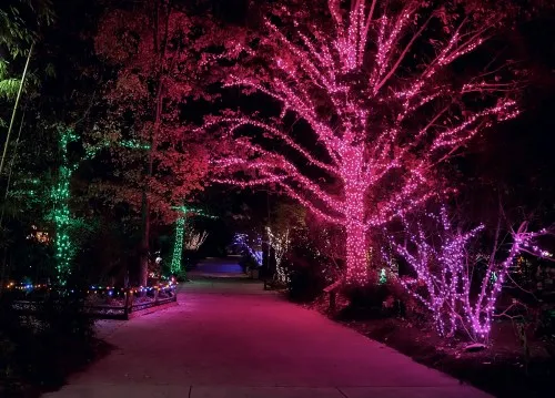 The Riverbanks Zoo Christmas Lights In South Carolina Is Dazzling
