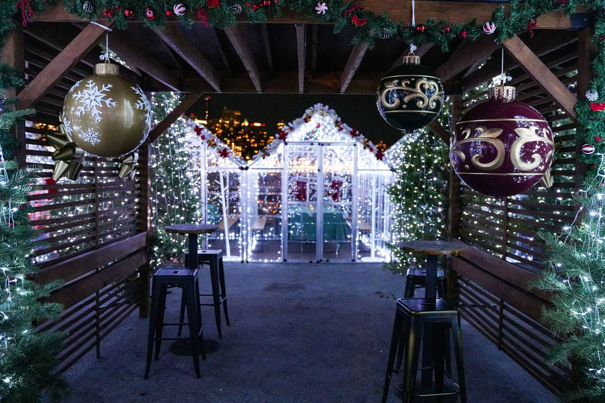 This Winter Wonderland Offers Views Of The BK Bridge!