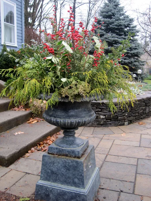 Tips for Winter Pots — Enchanted Gardens