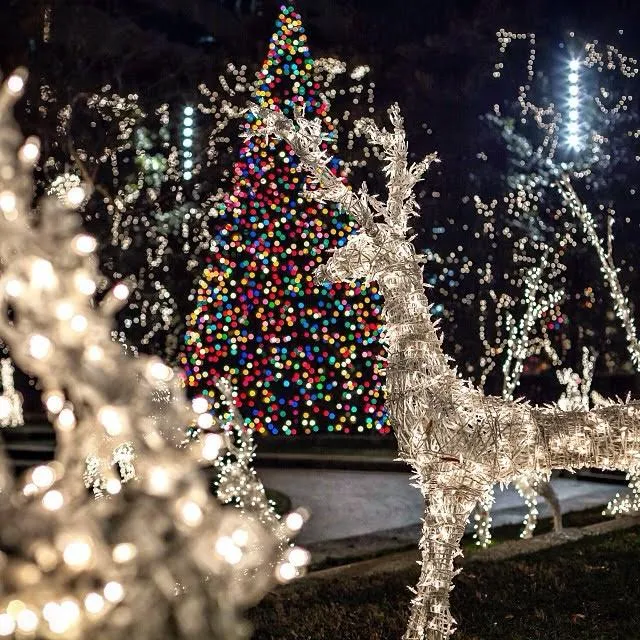 Walk the Holiday Lights Tour