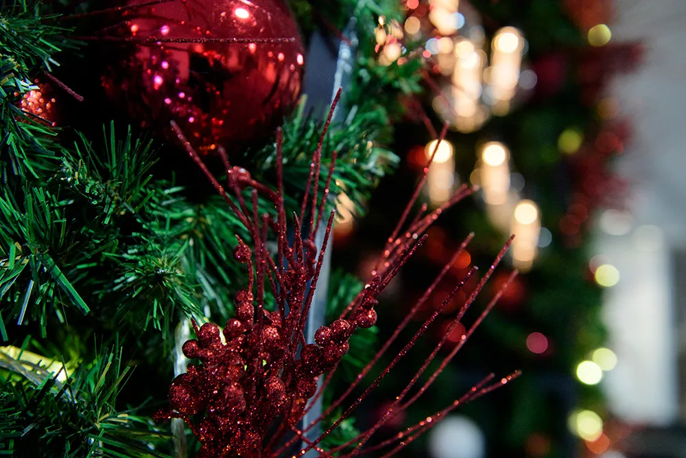 Why you should decorate in burgundy for Christmas 2026 – Christmas Knowledge