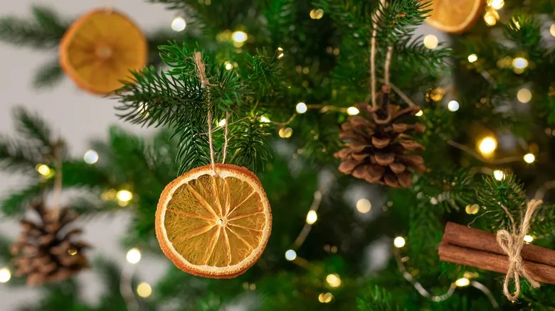 Will Orange & Cinnamon Ornaments Really Keep Your Cat Away From The Christmas Tree?