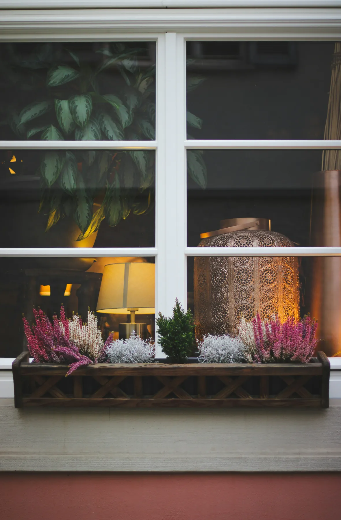 Window box with heather and plants, lamp and lantern inside - Free Photo on Unsplash